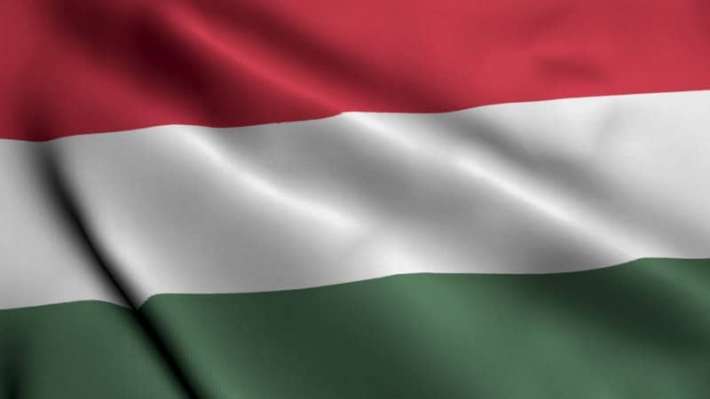 Hungarian translation interpretation services